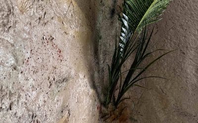 Du mortier aux décors muraux intérieurs façon ROCHE