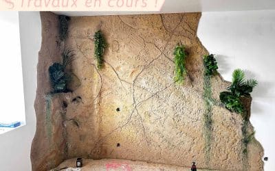 Roche verticales intérieures végétalisées pour décors.