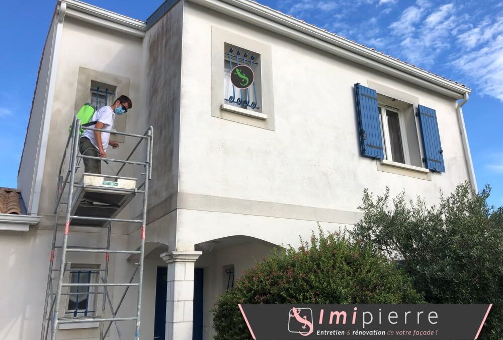 Anti mousse régulier sur façade entretenue