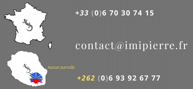 Numéros de téléphones portables en France métropolitaine et à La Réunion (aucun surcoût).