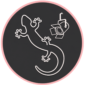 Notre margouillat en blanc pour la scénographie chez imipierre et toujours le fond noir avec cercle rose