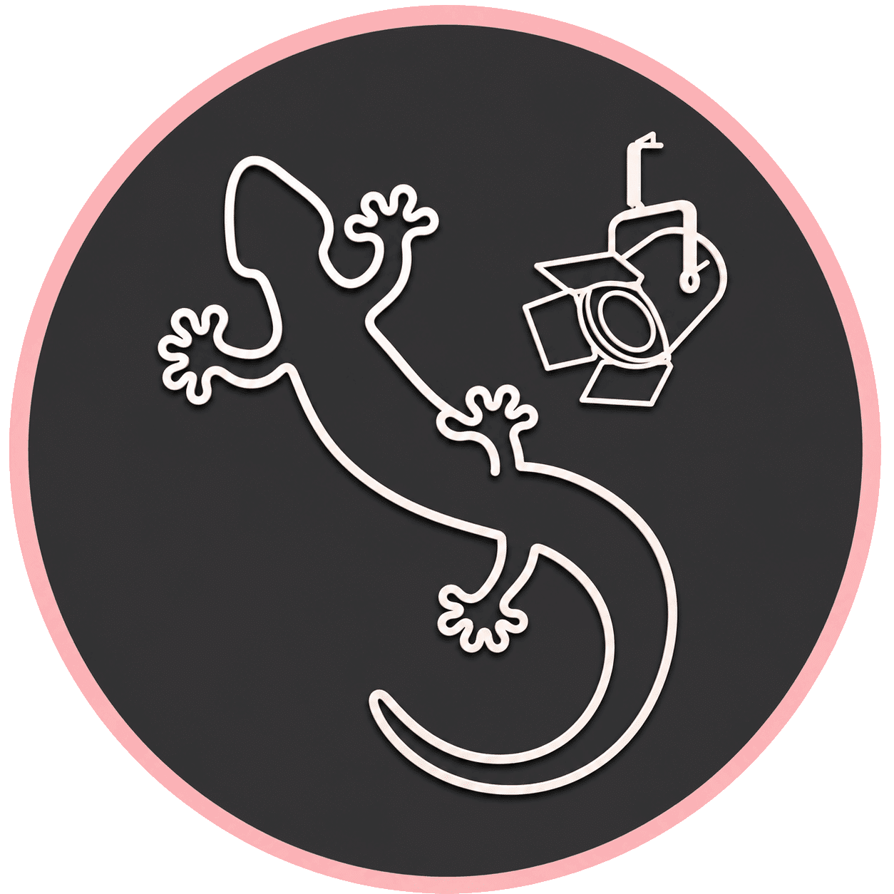 Notre margouillat en blanc pour la scénographie chez imipierre et toujours le fond noir avec cercle rose
