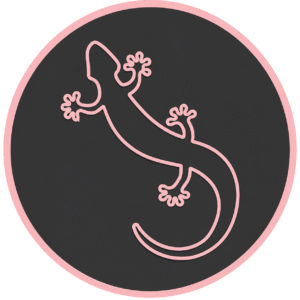 Logo imipierre pour la technique de l'enduit sculpté avec notre margouillat en rose sur fond noir et cercle rose