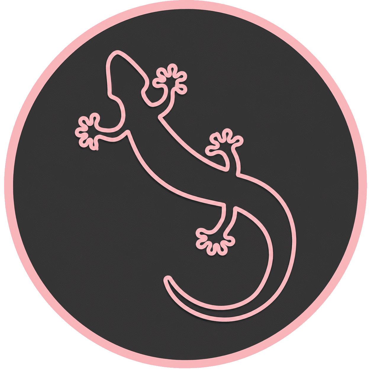 Logo imipierre pour la technique de l'enduit sculpté avec notre margouillat en rose sur fond noir et cercle rose