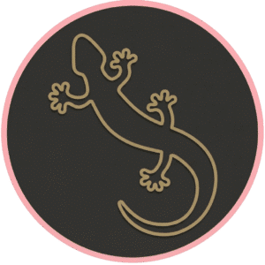 Logo IMIPIERRE ENDUIT TERRE dédié à cette technique d'enduit d'argile 100% naturelle venant de Vendée 85